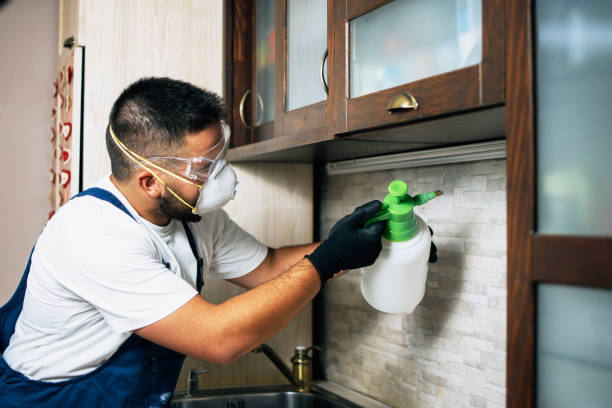 Best Emergency Pest Control  in Cayuga, IN