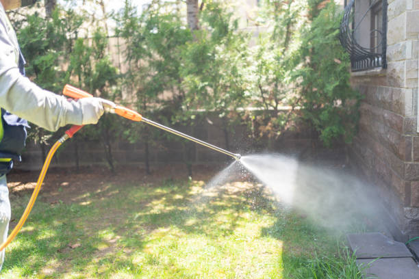 Best Pest Control Near Me  in Cayuga, IN