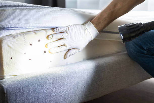 Best Pest Control Near Me  in Cayuga, IN