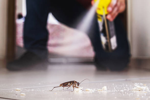 Best Exterminator Services  in Cayuga, IN