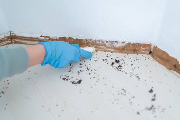 Best Best Pest Control Companies  in Cayuga, IN